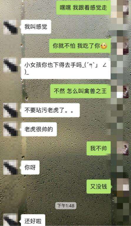 远程查女朋友微信聊天记录贵吗(怎么远程查男朋友微信)