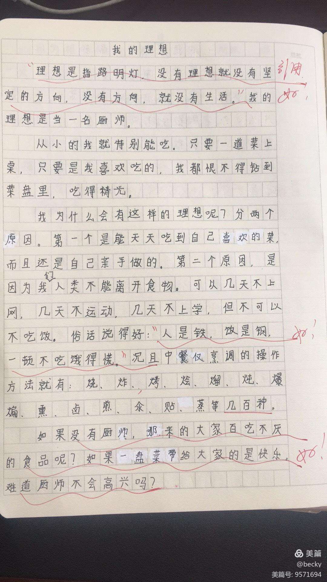 梦想成为一名黑客作文(我的梦想是黑客作文600字)