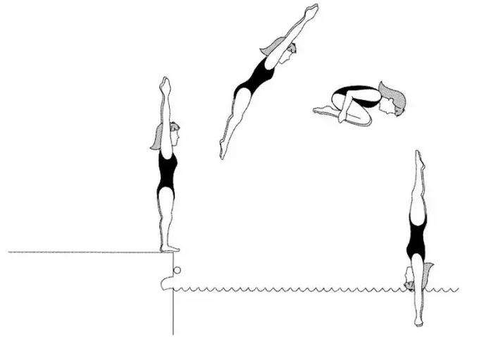 跳水规则(奥运会跳水规则)
