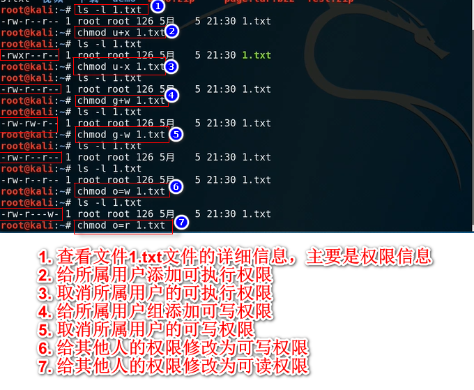 顶级黑客一般都学几年(顶级黑客一般都学几年 自学成才)