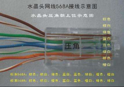 网线插座接法详细图解(网线接头和插座网线接法图解)