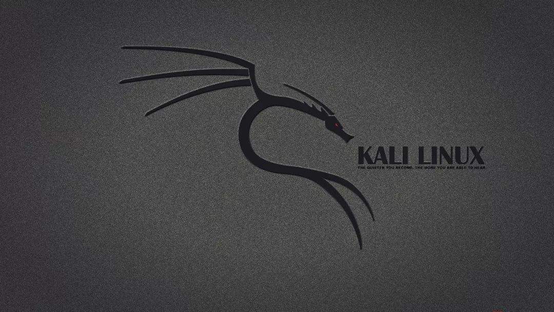 kali-linux(kalilinux手机版下载)