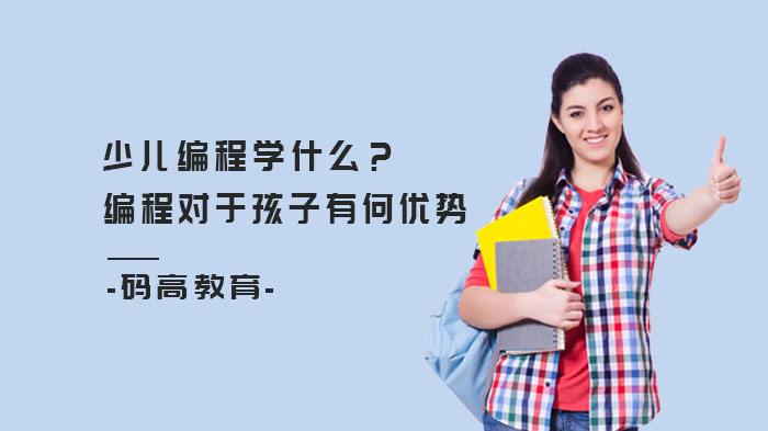 学编程有什么用途(学编程有什么好处吗)