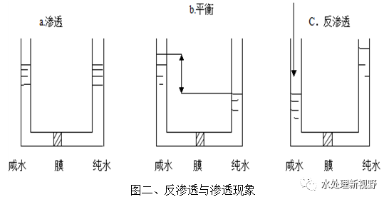 渗透(渗透电视剧在线观看完整版)