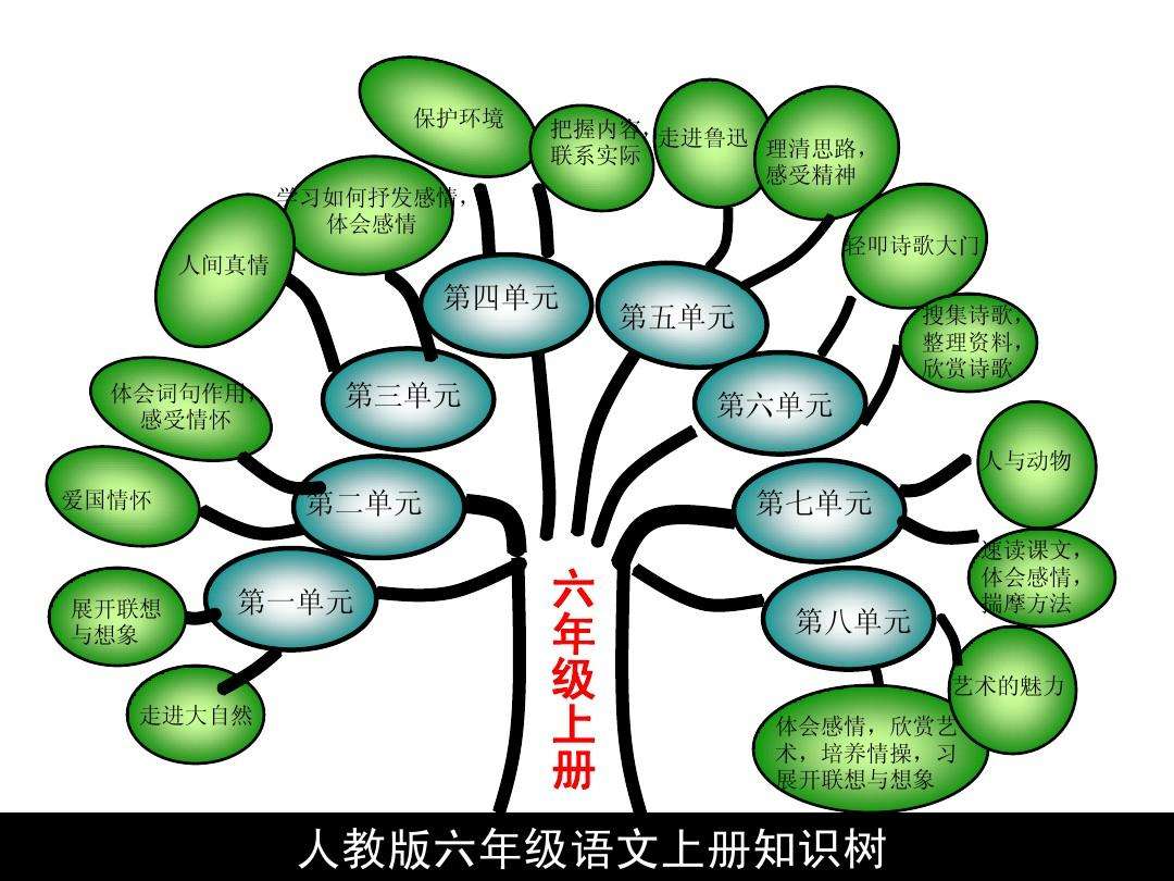 知识的分类(冯忠良关于知识的分类)