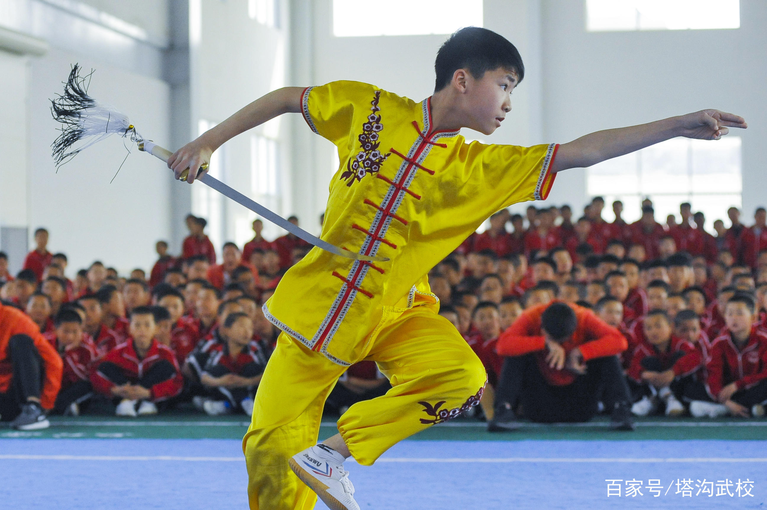 最适合女生学的武术(最适合女生学的武术视频)