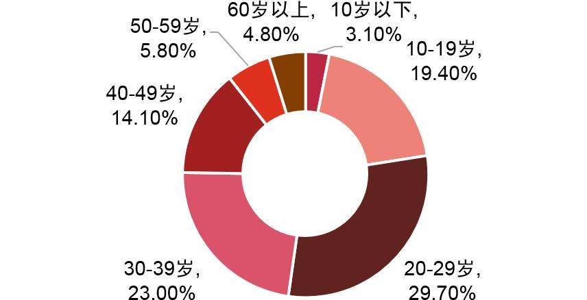 网民年龄结构分析(网民年龄结构分析趋势)