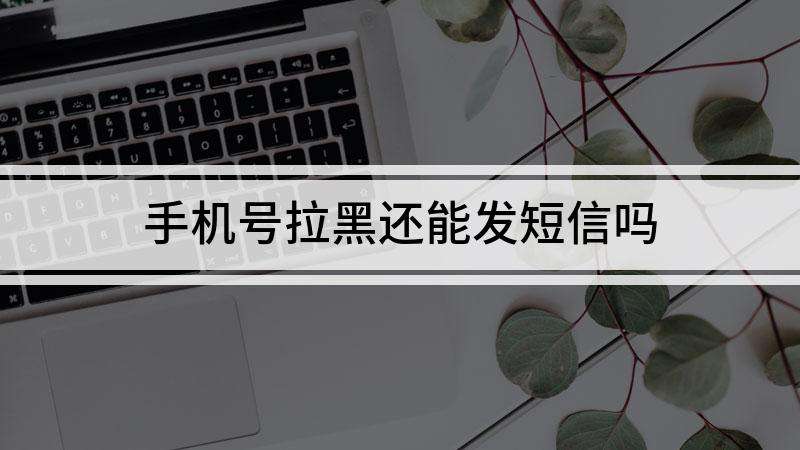 拉黑对方手机号(拉黑对方手机号对方会提示什么)