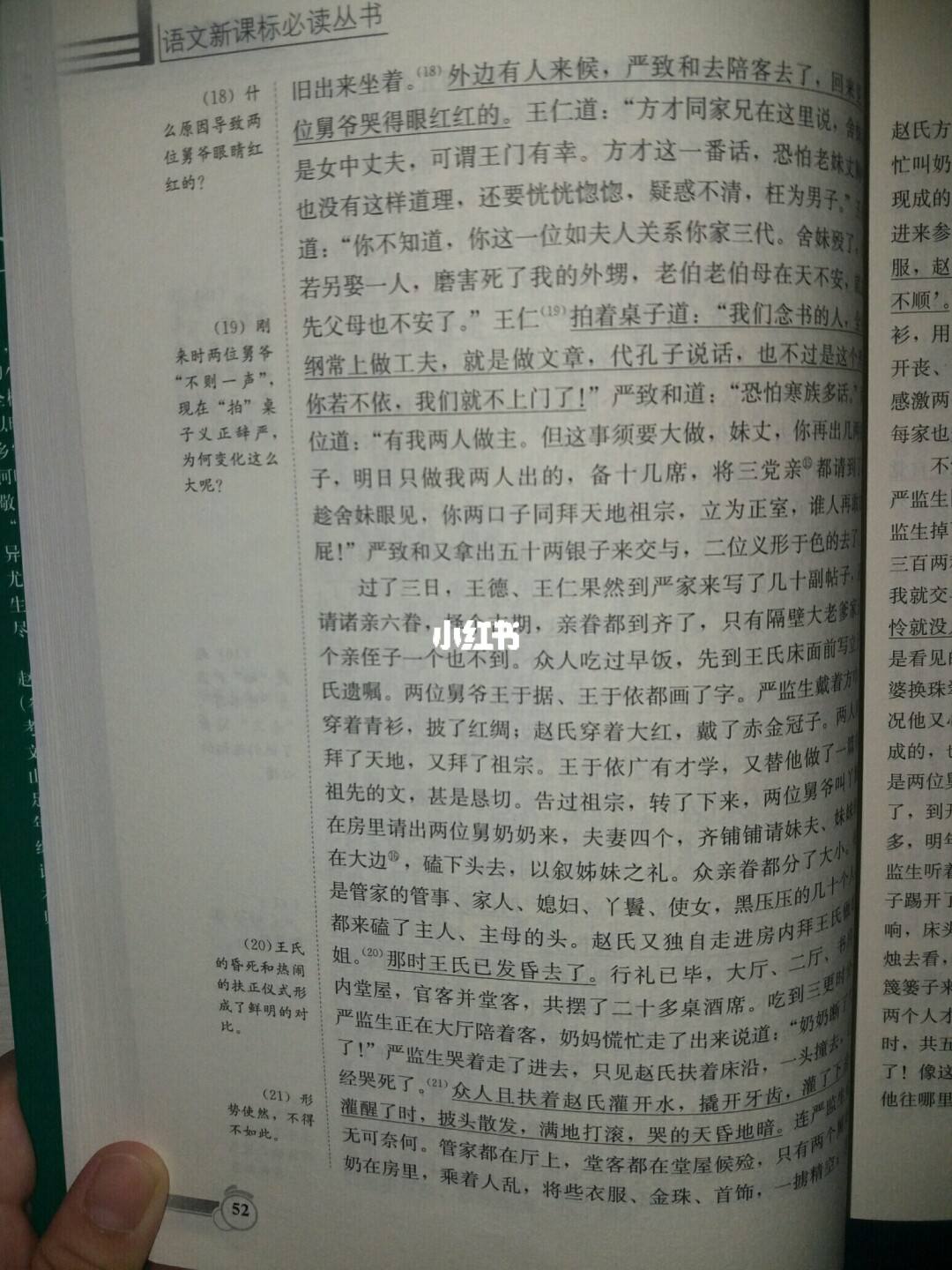 儒林外史故事梗概100字(儒林外史经典故事概括200字)