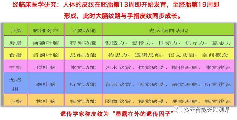 天赋类型测试(天赋类型测试 四号人 行偏赢)