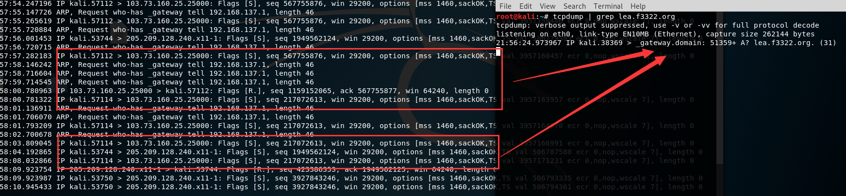 国内ddos(国内ddos测压的网站)