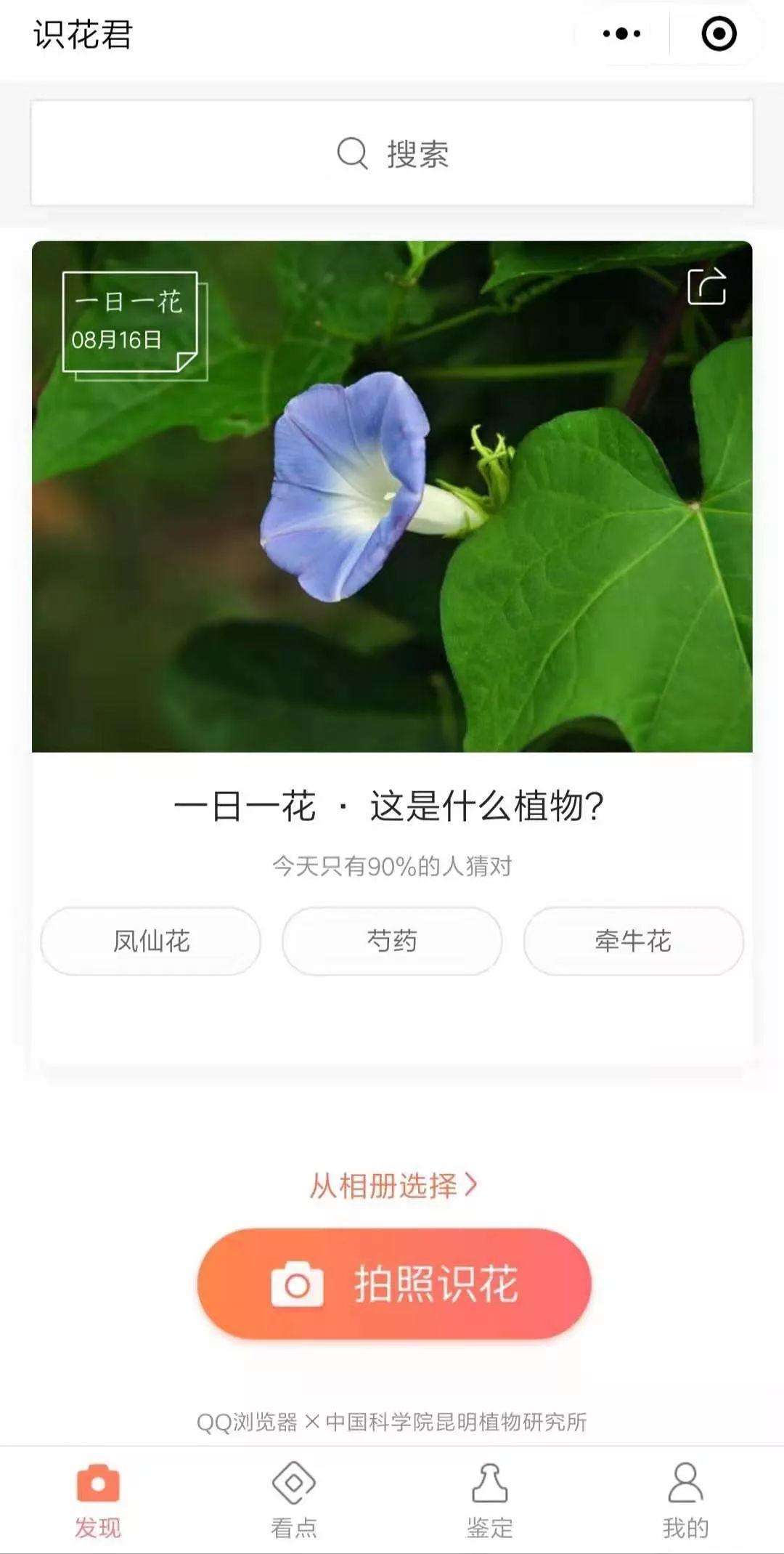 关于稀奇古怪好玩有用的小程序的信息