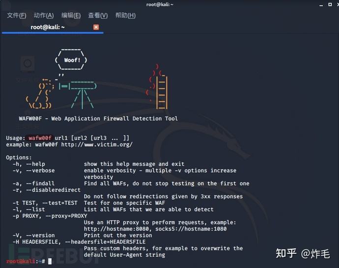 kalilinux工具使用教程(kalilinux工具最适合新手的)