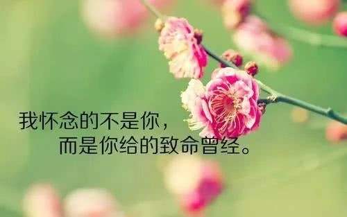 经典人生短句(经典人生短句现实简短)