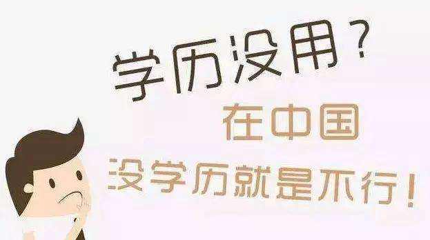 学历低的人不适合学编程(学历不高学编程好找工作吗)