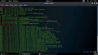 kali从入门到入狱图片(kali linux从入门到入狱)