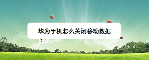 手机丢失可以远程抹除数据吗(手机丢失可以远程抹除数据吗安卓)