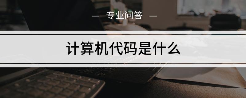 代码是什么(代码是什么意思)