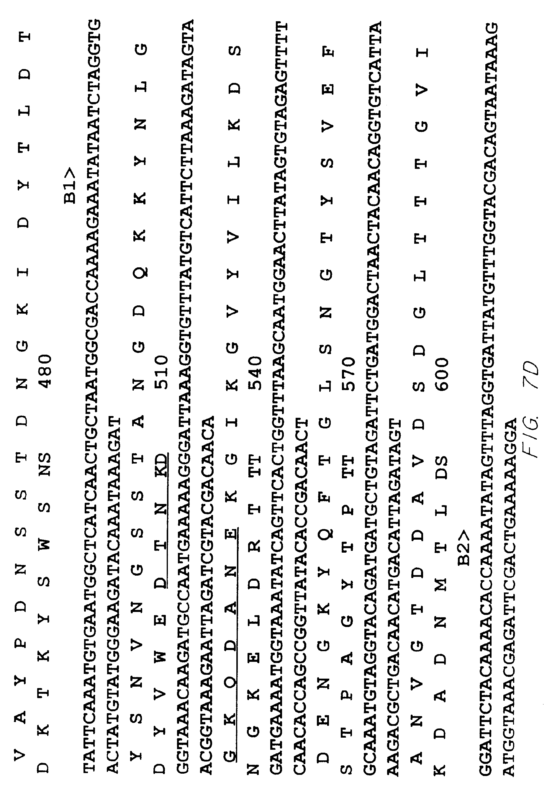 matrix最早出自哪部作品的简单介绍