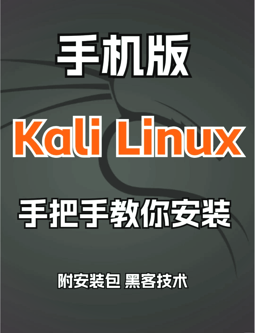 kalilinux官网下载(kali linux官方手册)