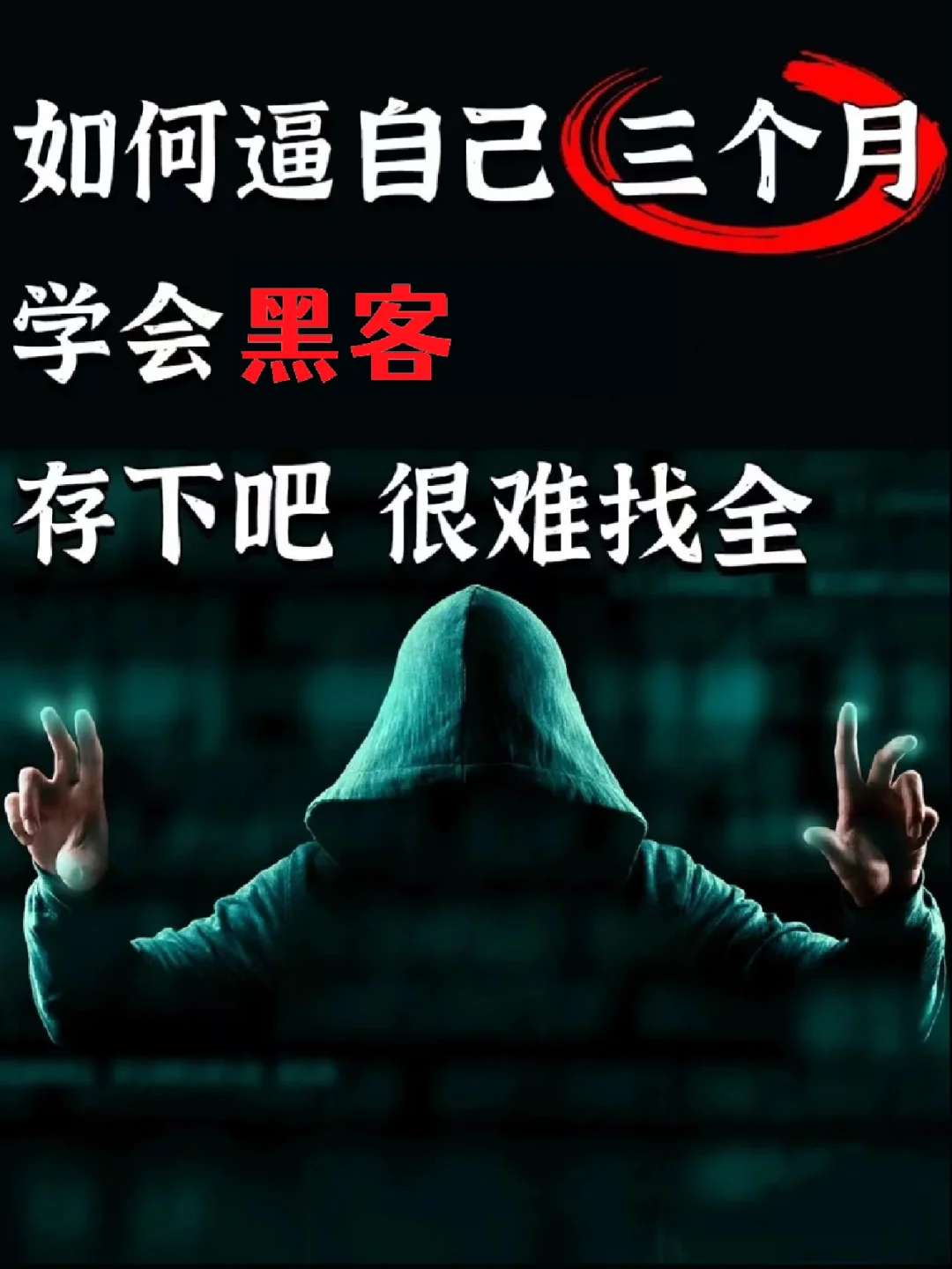 手机变成黑客系统(普通手机怎么变成黑客系统中文版安装?)