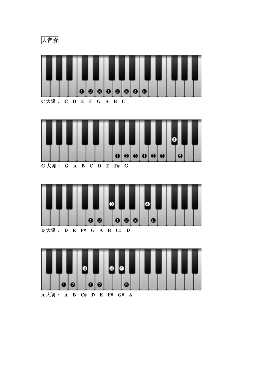 钢琴初学入门(钢琴初学入门歌曲)